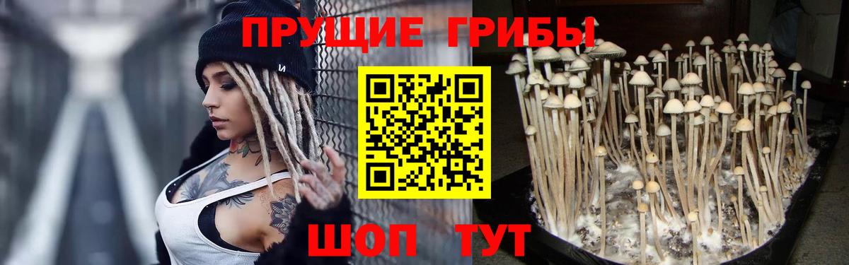Рыбинск  Псилоцибиновые грибы ЛСД  Галлюциногенные грибы ЛСД  Вход с VPN 